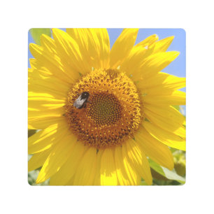 Impresión En Metal Girasol amarillo