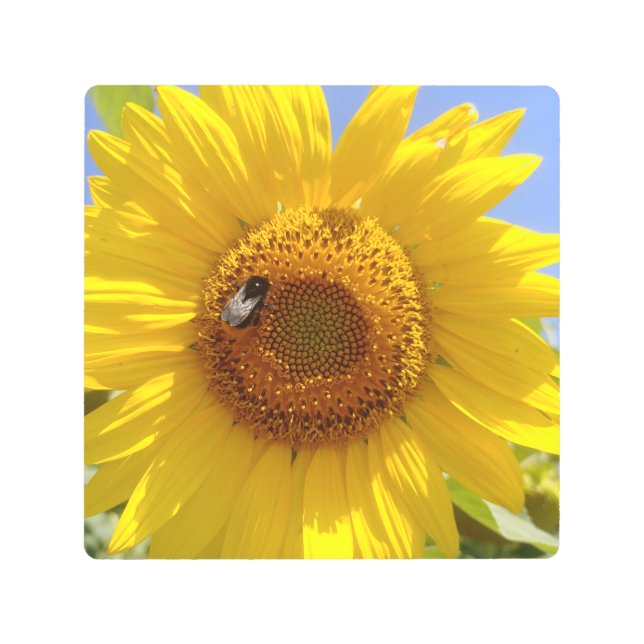 Impresión En Metal Girasol amarillo (Anverso)