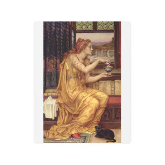 Impresión En Metal Giulia Tofana