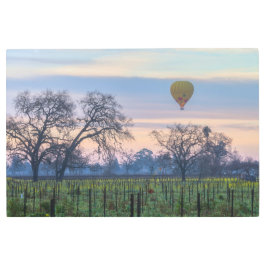 Impresión En Metal Globo sobre el viñedo