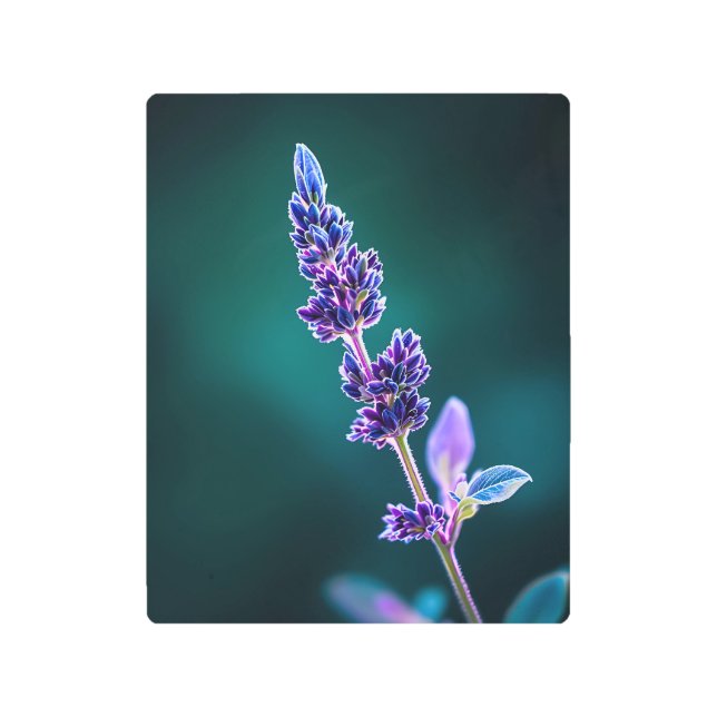 Impresión En Metal Glowing Lavender Metal Print | Ethereal Purple  (Anverso)