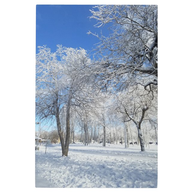 Impresión En Metal Goat Island New York Travel Photography Art (Anverso)