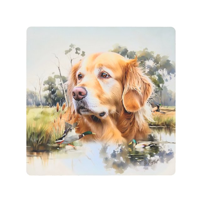 Impresión En Metal Golden Retriever (Anverso)