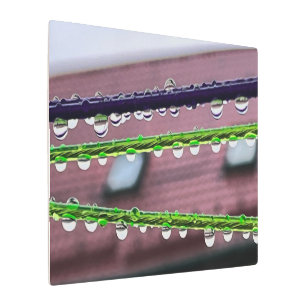Impresión En Metal Gotas de lluvia en cuerdas