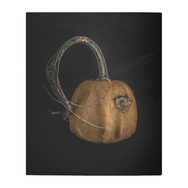 Impresión En Metal Gourds No 13 Color Version (Anverso)