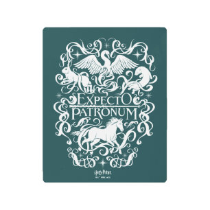 Impresión En Metal Gráfico de patrono externo