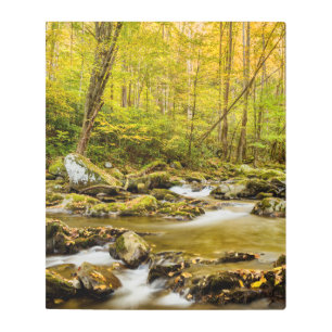 Impresión En Metal Gran Creek Carolina del Norte