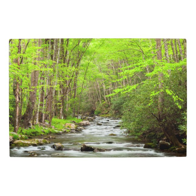 Impresión En Metal Gran Parque Nacional de Montañas Smoky Carolina de (Anverso)