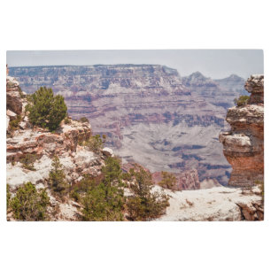 Impresión En Metal Gran visión del pato