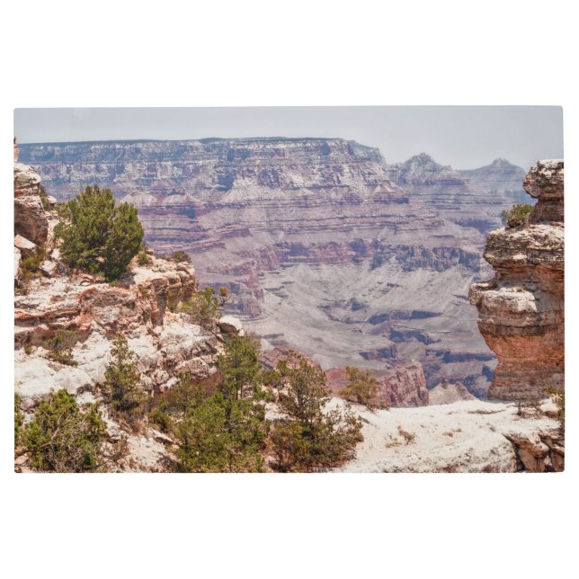 Impresión En Metal Gran visión del pato (Anverso)