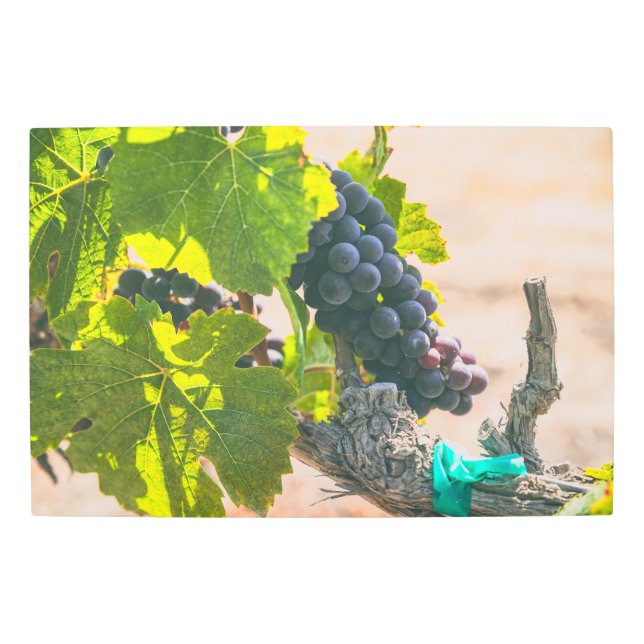 Impresión En Metal Grapevina (Anverso)