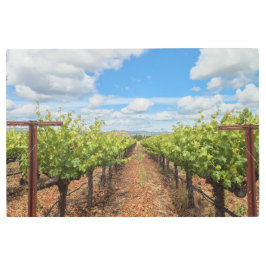 Impresión En Metal Grapevines