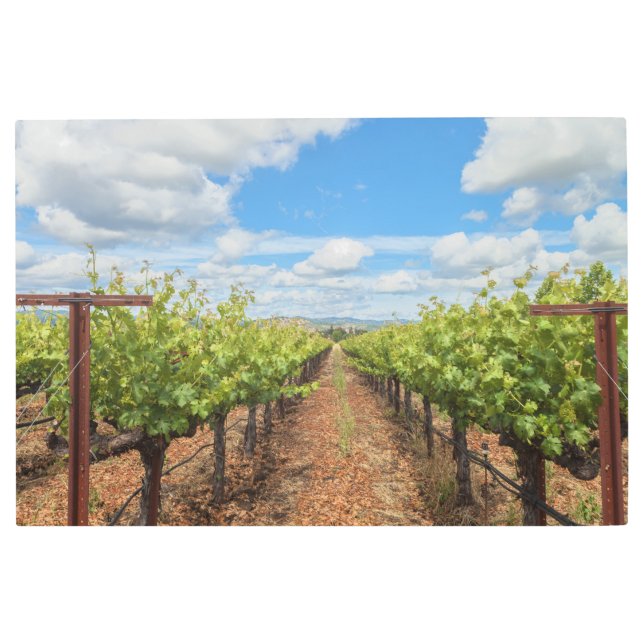 Impresión En Metal Grapevines (Anverso)