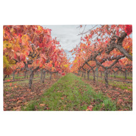 Impresión En Metal Grapevines en otoño