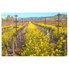 Impresión En Metal Grapevines Wildflowers