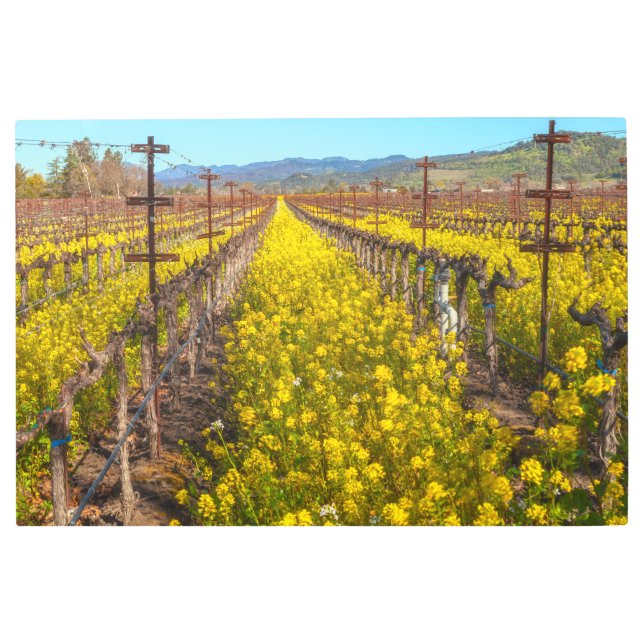 Impresión En Metal Grapevines Wildflowers (Anverso)