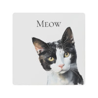 Gris Black White Kitty Cat