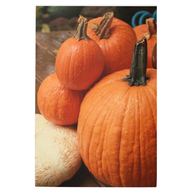 Impresión En Metal grupo de calabazas del país de cierre (Anverso)