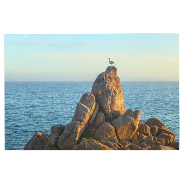 Impresión En Metal Gull by the Sea (Anverso)