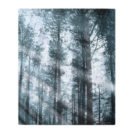 Impresión En Metal Hablo con los árboles...