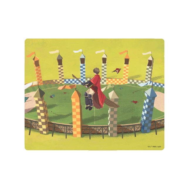 Impresión En Metal HARRY POTTER™ busca la bruja dorada (Anverso)