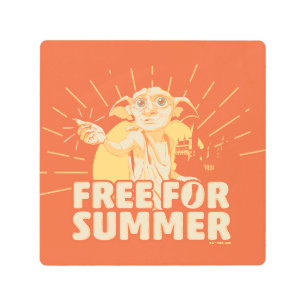 Impresión En Metal HARRY POTTER™   Dobby Libre Para Verano