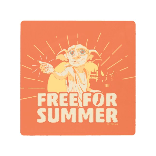 Impresión En Metal HARRY POTTER™ | Dobby Libre Para Verano (Anverso)