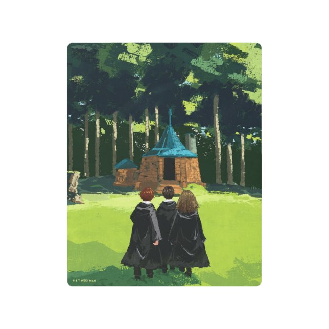 Impresión En Metal HARRY POTTER™, Ron y Hermione en la cabaña de Hagr (Anverso)