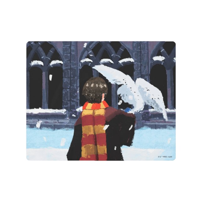 Impresión En Metal HARRY POTTER™ y Hedwig en la nieve (Anverso)