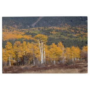 Impresión En Metal Hart Prairie