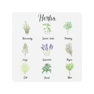 Impresión En Metal Herbs Watercolor Sage Thyme Rosemary Kitchen