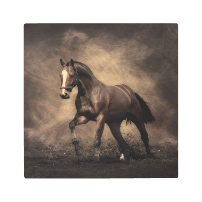 Impresión En Metal Hermosa almohada de caballo marrón (Anverso)