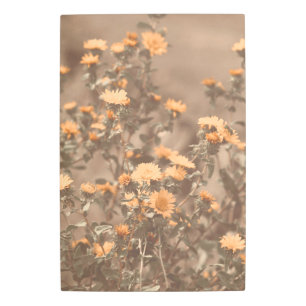 Impresión En Metal Hermosa flor de flores silvestres de Naranja quema