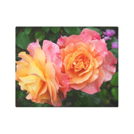 Impresión En Metal Hermosa foto de rosa rosa y naranja