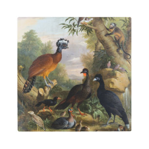 Impresión En Metal Hermosas aves de época en un paisaje