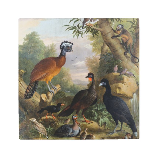 Impresión En Metal Hermosas aves de época en un paisaje (Anverso)