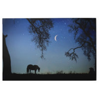 Hermosas estrellas surrealistas de caballo y luna