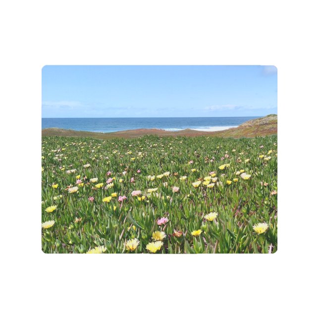 Impresión En Metal Hermosas flores costeras (Anverso)