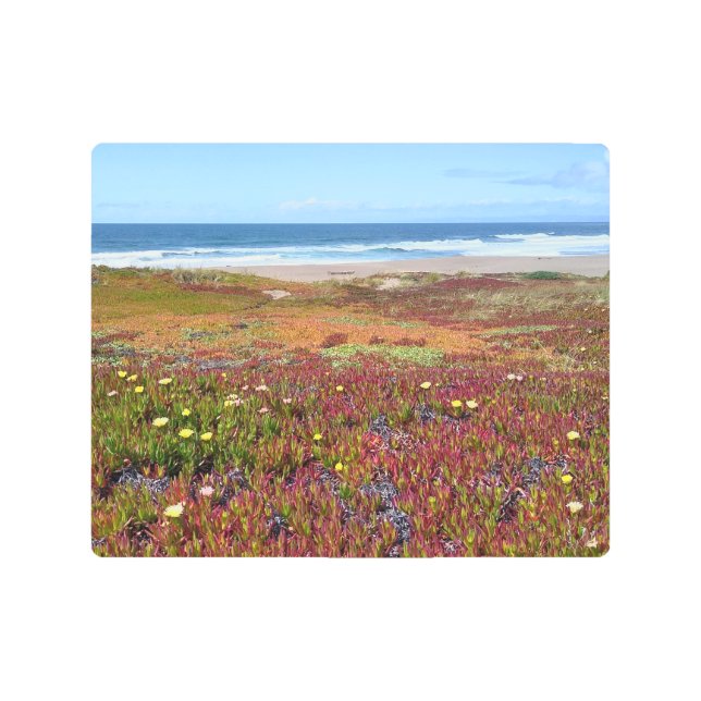 Impresión En Metal Hermosas flores costeras foto oceánica - (Anverso)