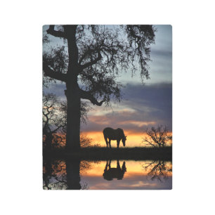 Impresión En Metal Hermoso caballo al atardecer y estanque