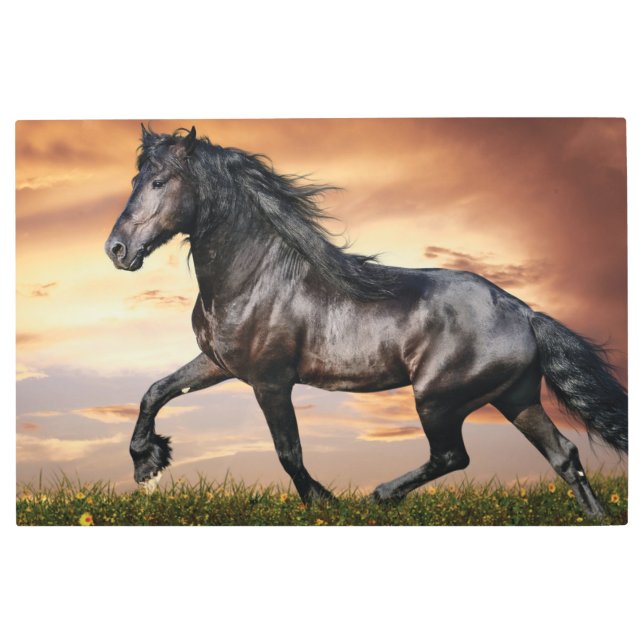 Impresión En Metal Hermoso caballo negro (Anverso)