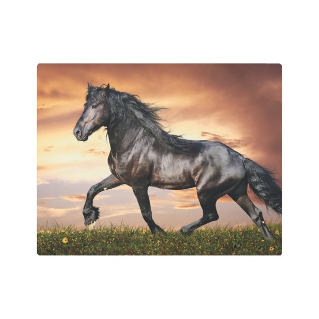 Impresión En Metal Hermoso caballo negro (Anverso)