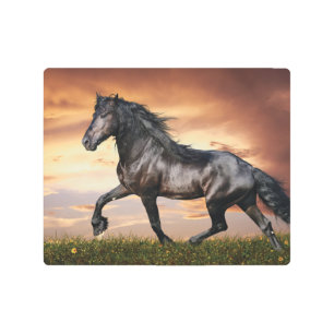 Impresión En Metal Hermoso caballo negro