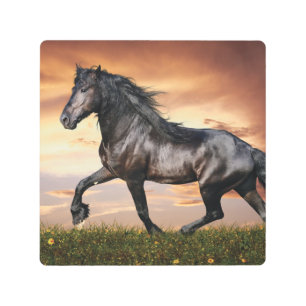 Impresión En Metal Hermoso caballo negro
