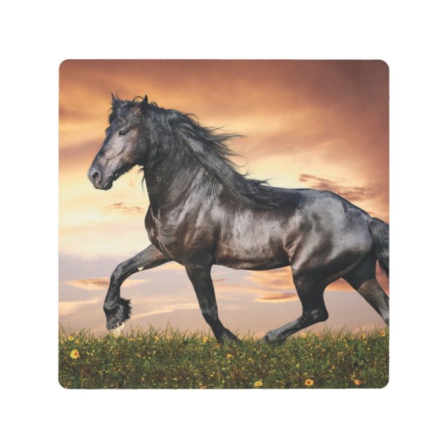 Impresión En Metal Hermoso caballo negro (Anverso)