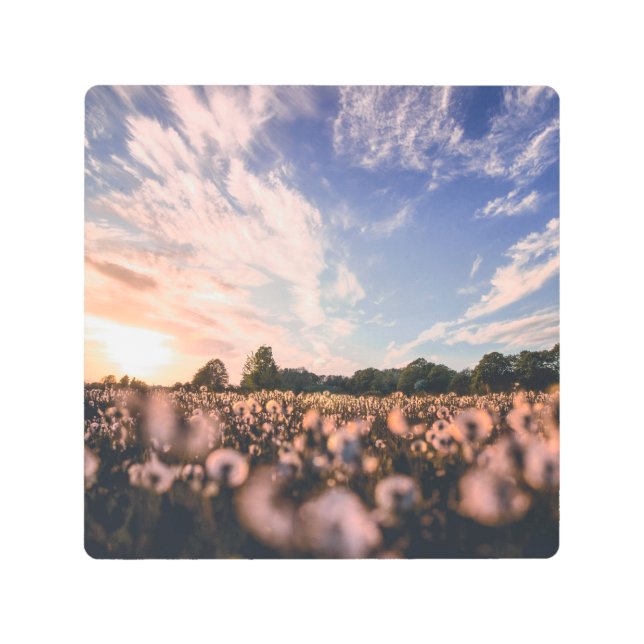 Impresión En Metal hermoso cielo sobre la llanura (Anverso)