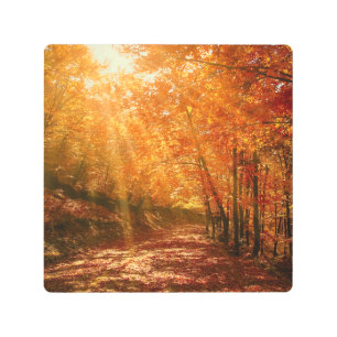 Impresión En Metal Hermoso otoño