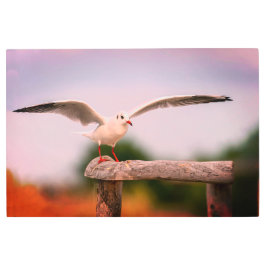 Impresión En Metal Hermoso pájaro con sus alas extendidas impreso