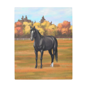 Impresión En Metal Hermoso Stallion de caballos del Barrio Negro