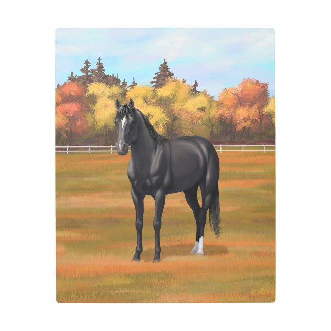 Impresión En Metal Hermoso Stallion de caballos del Barrio Negro (Anverso)